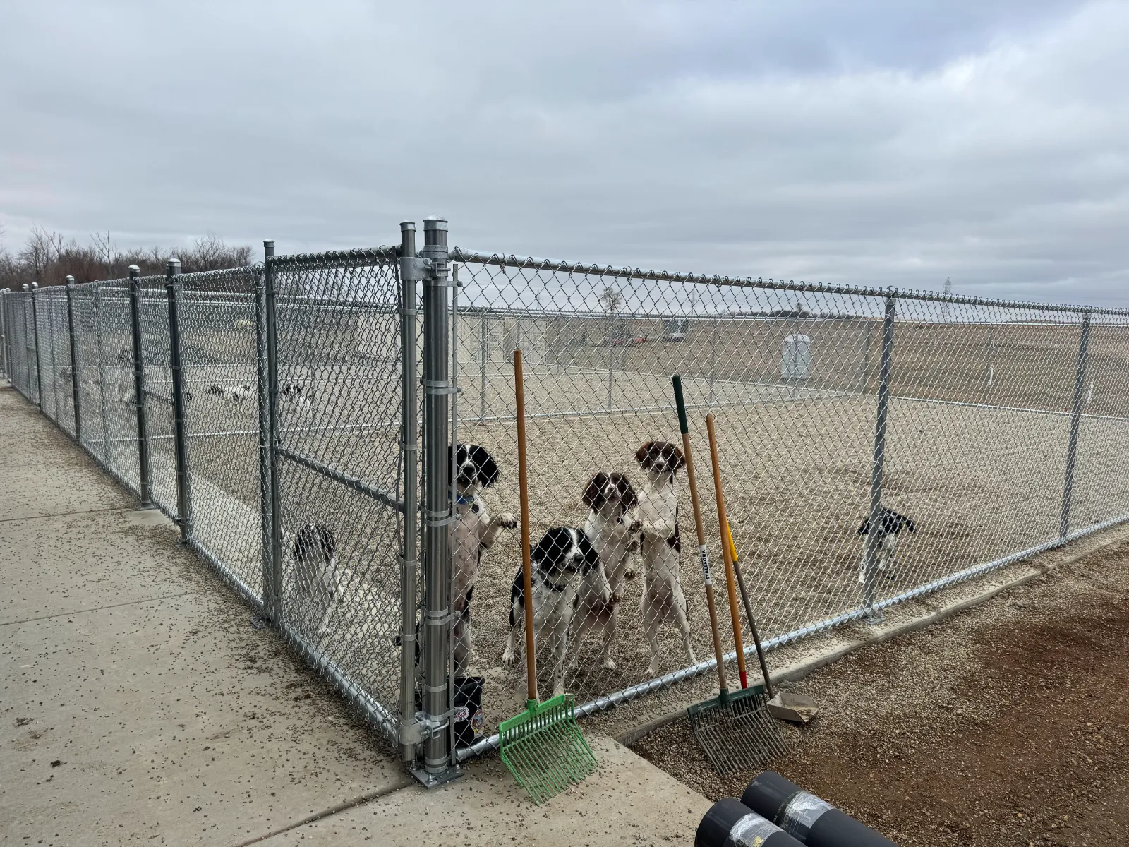 Commercial chain link